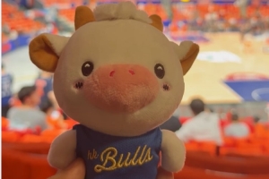 La Bull Bull比赛直播_NBL球星CBA观赛动态_中国篮球最新新闻配图