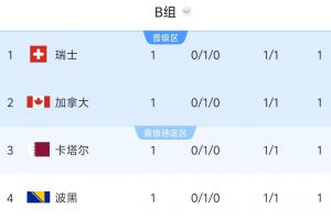 两场都是1-1!B组积分榜:瑞士、加拿大、卡塔尔、波黑同积1分配图