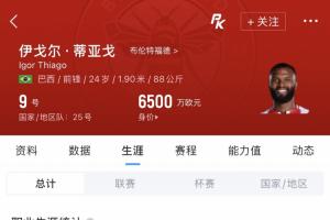 蜂王世界杯首秀!伊戈尔·蒂亚戈英超38场22球,但3月才巴西首秀配图