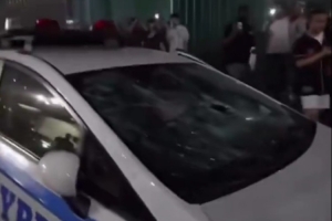 开始狂欢!球迷在纽约大街上庆祝&警车玻璃被砸穿 警察维护秩序配图